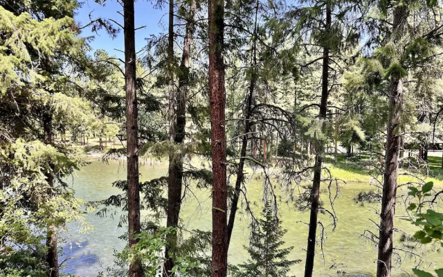 River Song Cabin 3 Bedroom Home