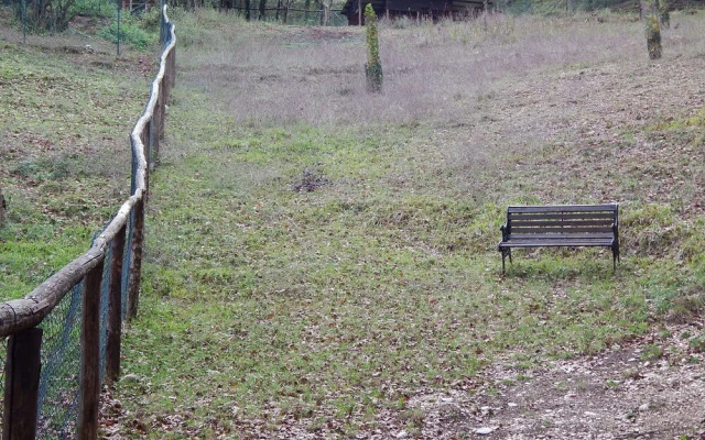 Agriturismo La Selva