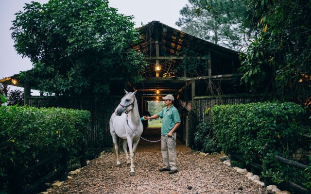 Blancaneaux Lodge by Francis Ford Coppola