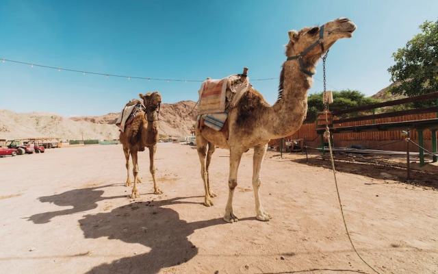 Royal Park Resort Apartment 58