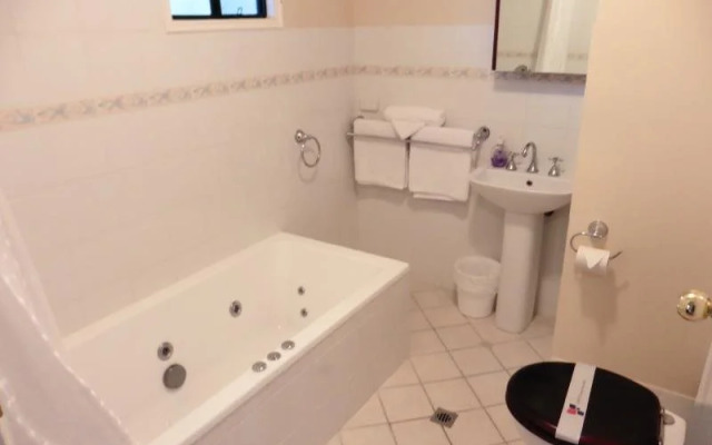 The Nosh and Nod - Howick Street