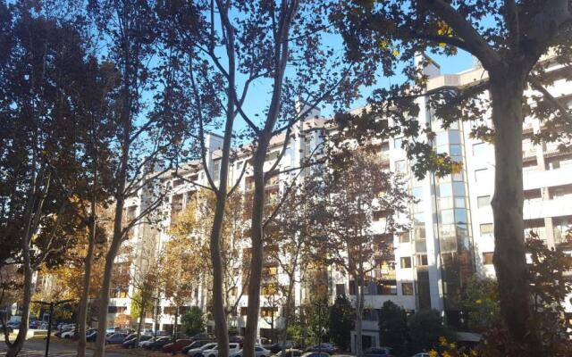 Ana's Place Torino 1