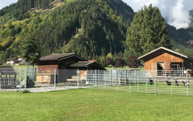 Pony-Ziegen-Hasen-Ranch Bichlbach