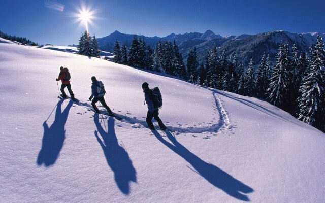 Lavish Apartment in Kaltenbach Near Ski Area