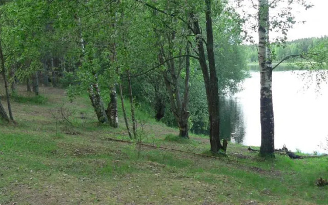 Vikipalu Country House