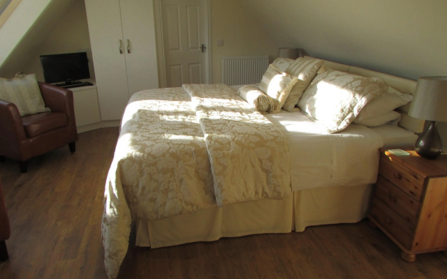 The Roost Studio