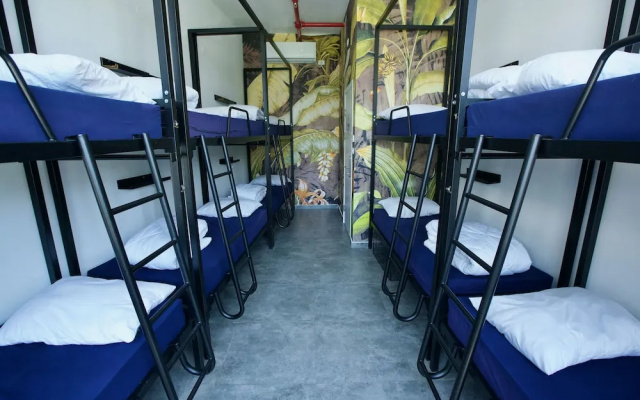 Jungle Jaffa Hostel Age 18 to 45