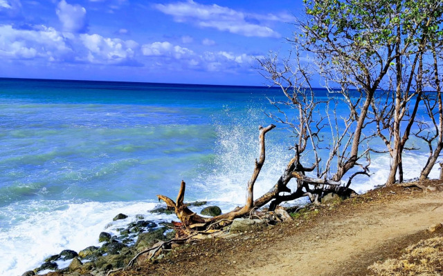 les tiny houses d'akapa