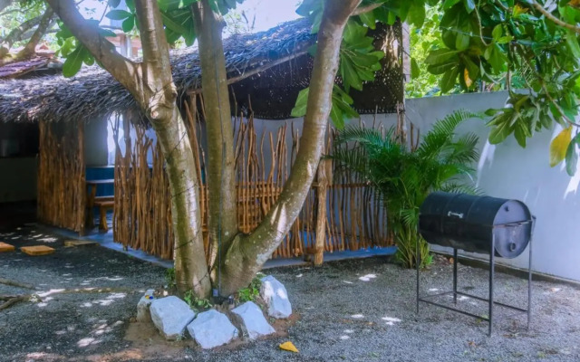Kavindi Guest