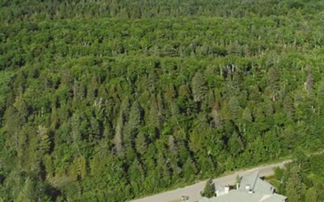 Hôtel Spa Excelsior