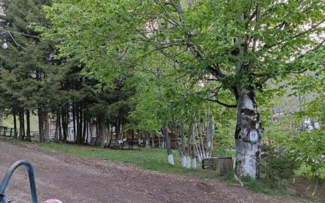 Bakuriani Didveli residence E-30