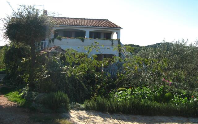 Lado - 230 m From sea - SA1