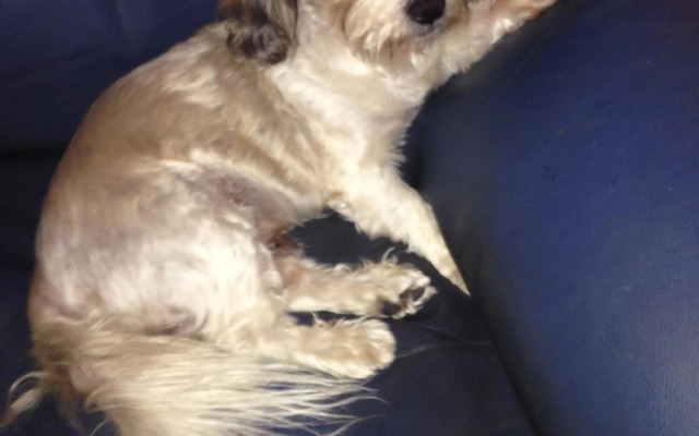 Stunning Magnetic Island Home,Private, Large Pool,Adults Only