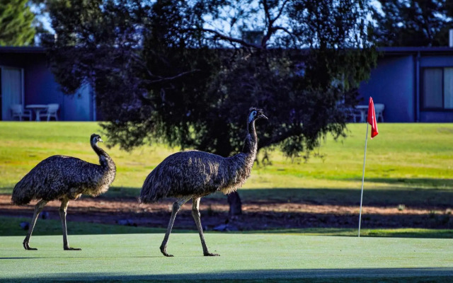 Renmark Resort