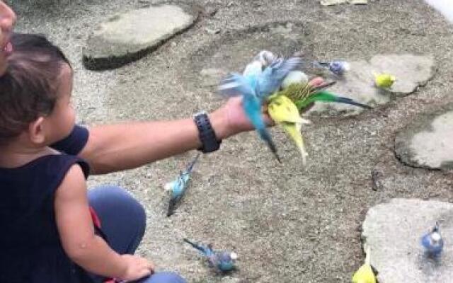 Easy Life Guest House