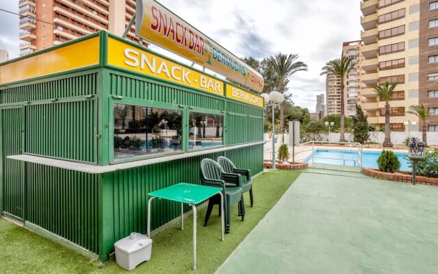 Beferent - Bermudas Benidorm