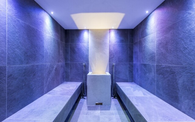 Chalet Aster