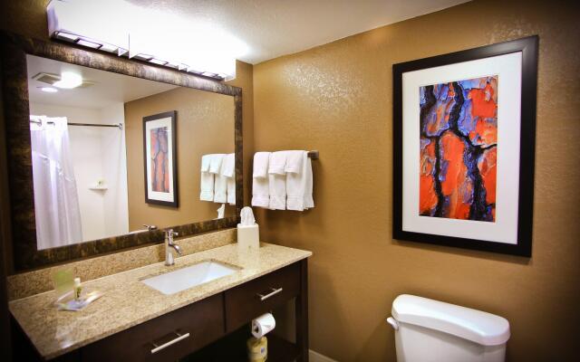 Holiday Inn Hotel & Suites LA CROSSE