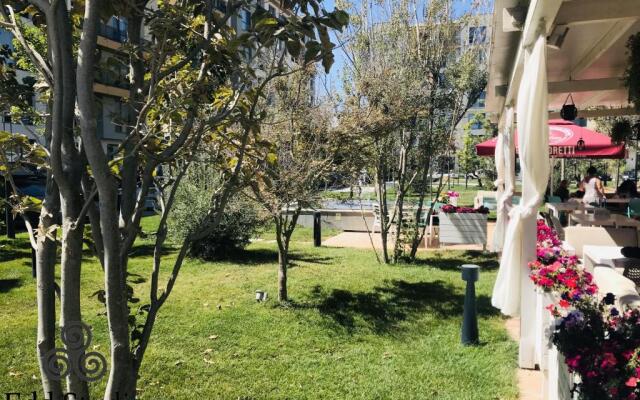 Edd Studio Onix Blue Mamaia Nord