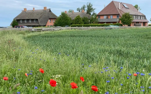 Rï¿½gen-Ferienhof