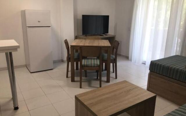 Apartamentos Mimosin