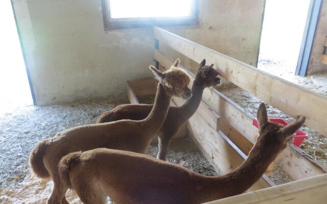 R&F Alpacas B&B