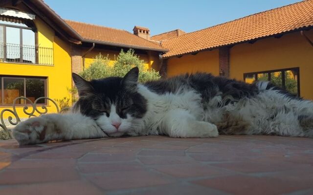 Agriturismo Cascina Argentera