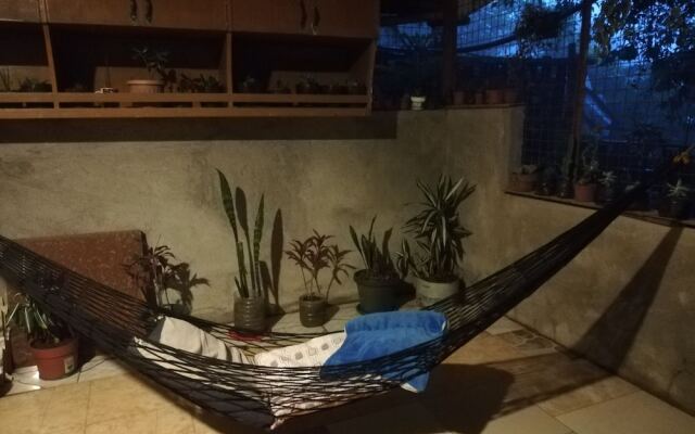 Tribuhaus Backpackers Inn