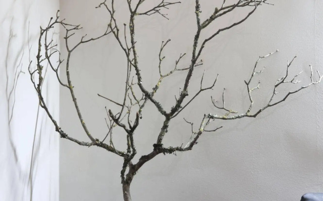 Quinta dos 4 Lagares