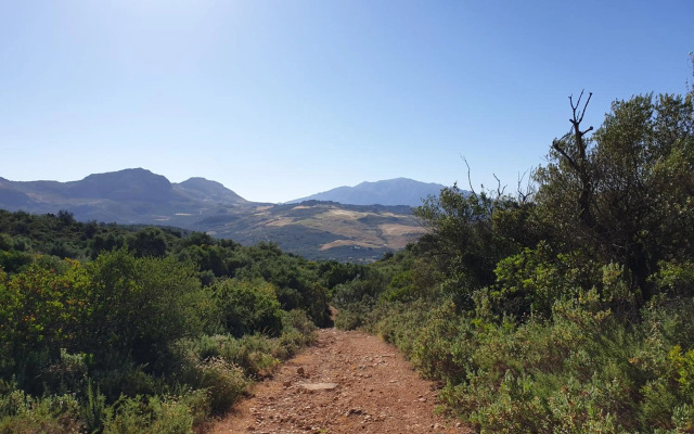 One Life Málaga Retreat