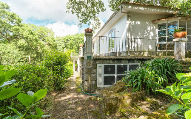 Quinta biológica, com vista, na Serra de Sintra