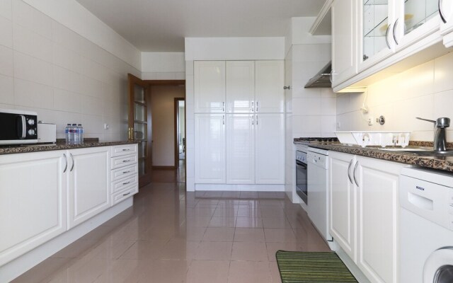 Expo Delight by Homing