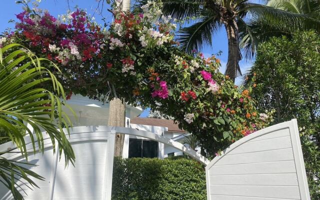Bougain Villas Salad Beach
