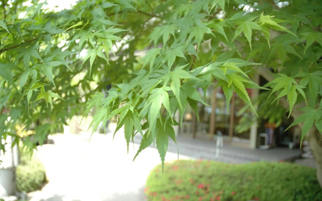 Hotel Yamabuki