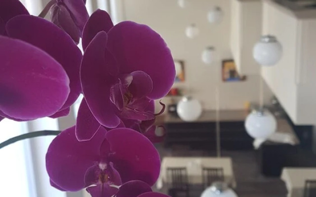 Ileri Hotel & Apartments