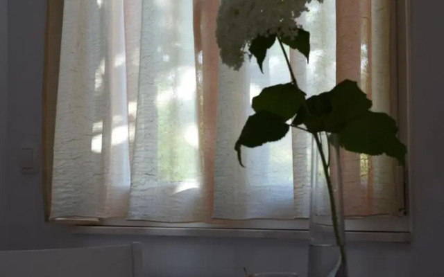 Studio apartman MARINA
