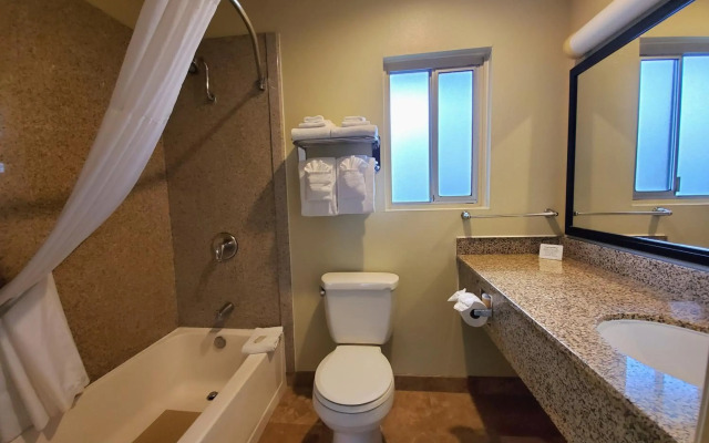Quality Inn & Suites Anaheim At The Park