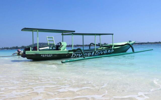Divine Divers Resort