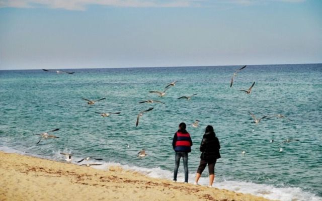 Gangneung Secret Pension