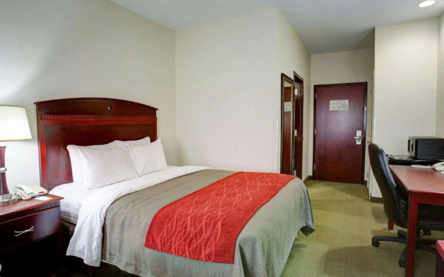 Quality Inn Rockdale