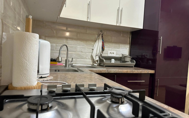 Comfortable apartment in center