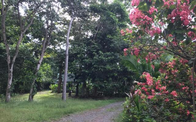 Palapa Hut Nature Hostel & Campground