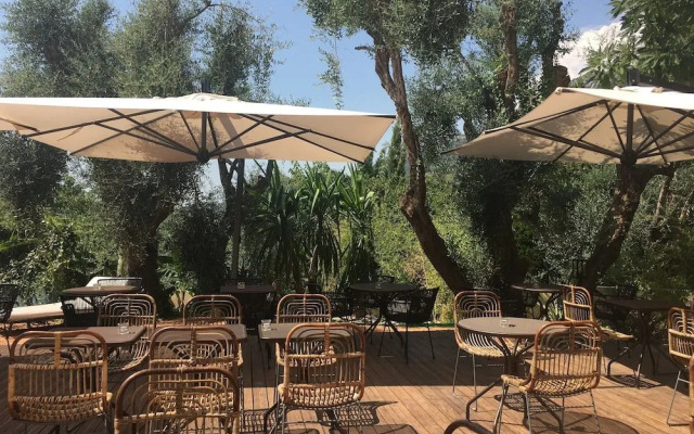 AVOCADO Hôtel Restaurant Bar