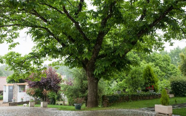 Vila dos Castanheiros