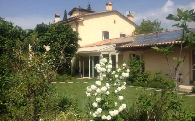 Bocca di Bacco