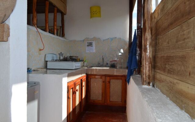 Hostel La Ballena Backpacker