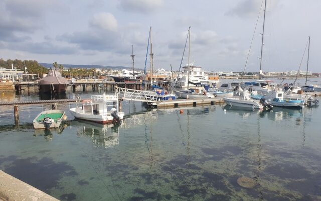 Spacious and Modern 2 bed Apartment in Peyia