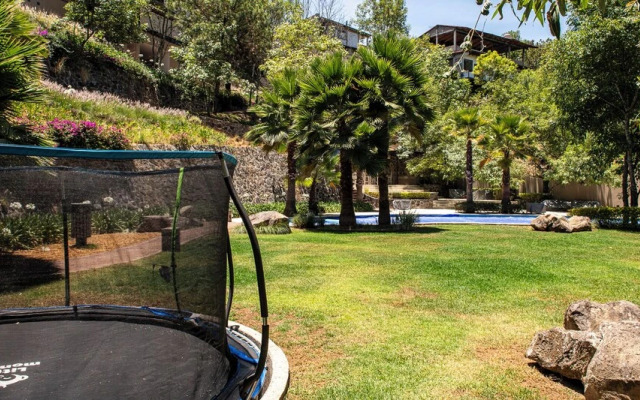 Vista del Bosque