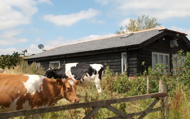 Bull Farm Studios