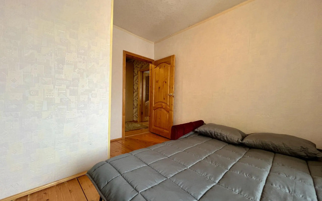 What is the house on Plekhanov Street